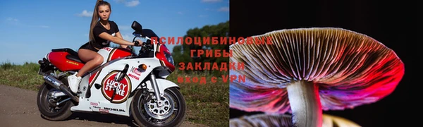 круглые Алзамай