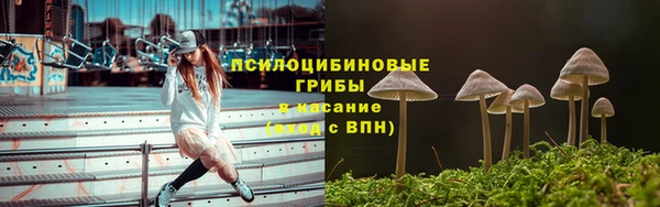 круглые Алзамай
