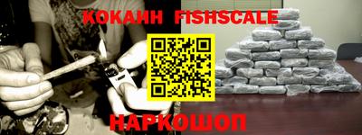 молекула духа Партизанск