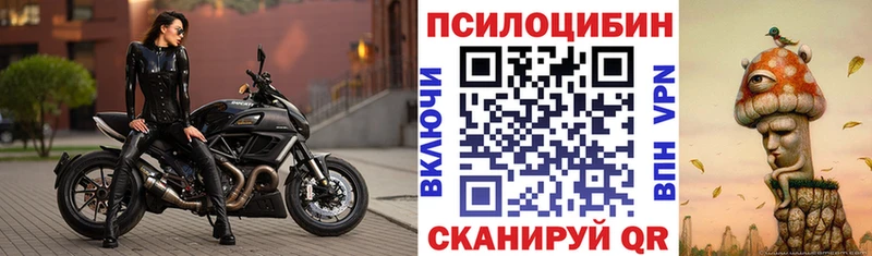 Галлюциногенные грибы Psilocybe  мега сайт  Шумерля 