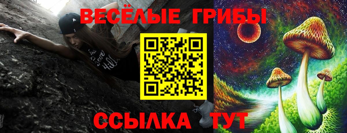 Галлюциногенные грибы ЛСД  Вход с VPN  Псилоцибиновые грибы мухоморы  Шумерля 